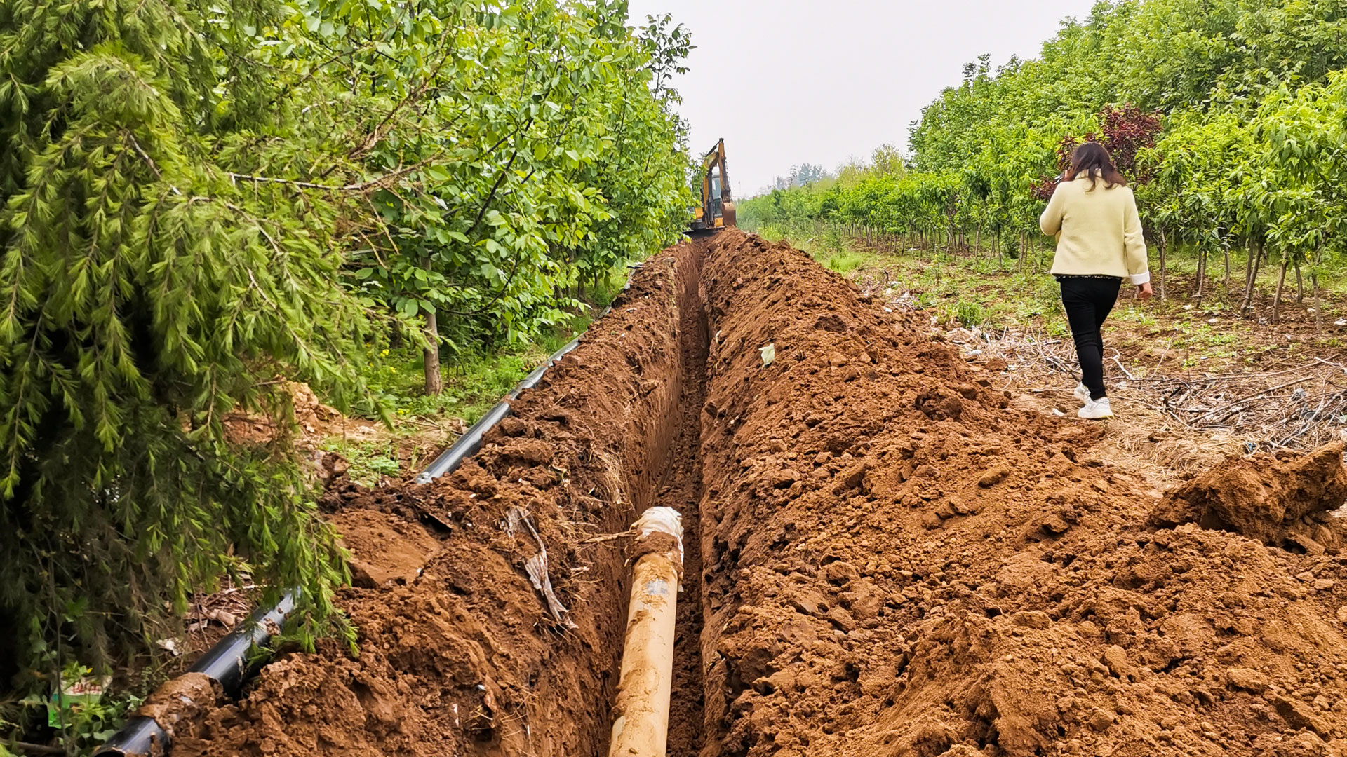 1622790545913069.jpg 11.jpg